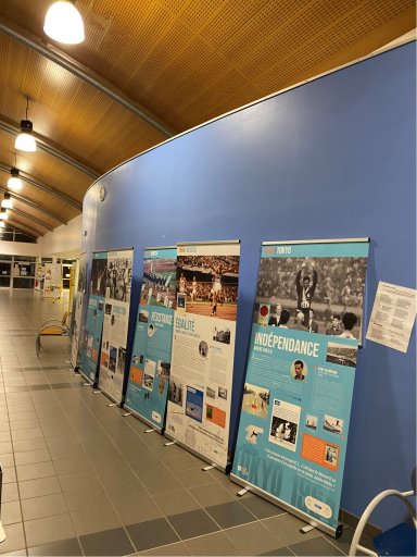 présentation de l'exposition