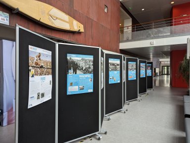 présentation de l'exposition
