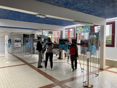 Présentation de l'exposition 
