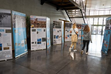 présentation de l'exposition