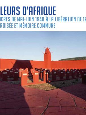 Tirailleurs d’Afrique. Histoire croisée et mémoire commune 