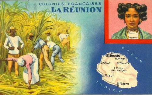 « Outre-mer. Immigration en outre-mer &amp; présences ultramarines dans l’hexagone » : itinérance à La Réunion  